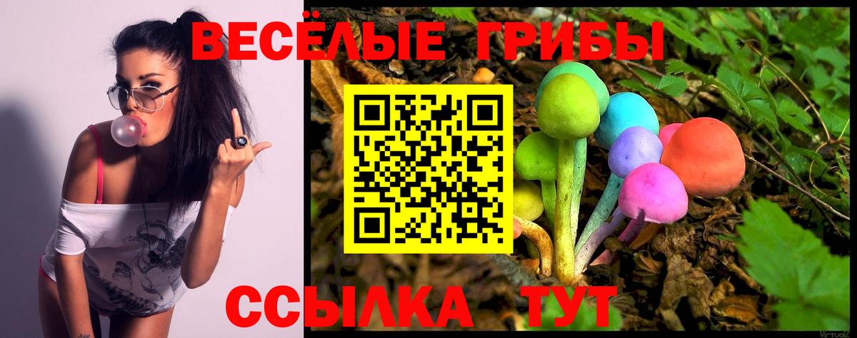 Елец  Галлюциногенные грибы Psilocybine cubensis  Вход с VPN 